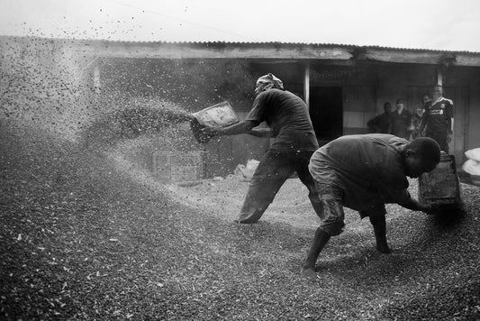 Grain workers, Lagos